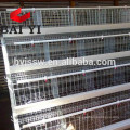 Best Selling Battery Cages for Layers Birds